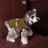 Schnauzer wearing an olive patterned turtleneck on a brown sofa.