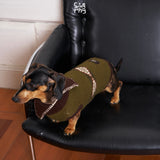 Dachshund wearing an olive patterned sweater on a black chair.