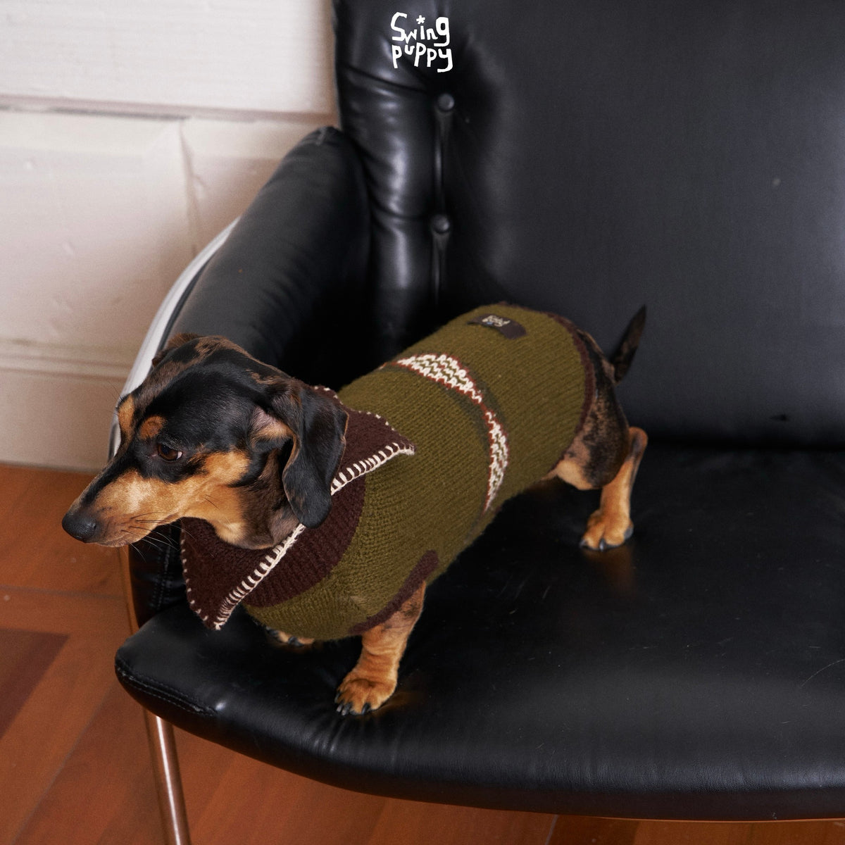 Dachshund wearing an olive patterned sweater on a black chair.