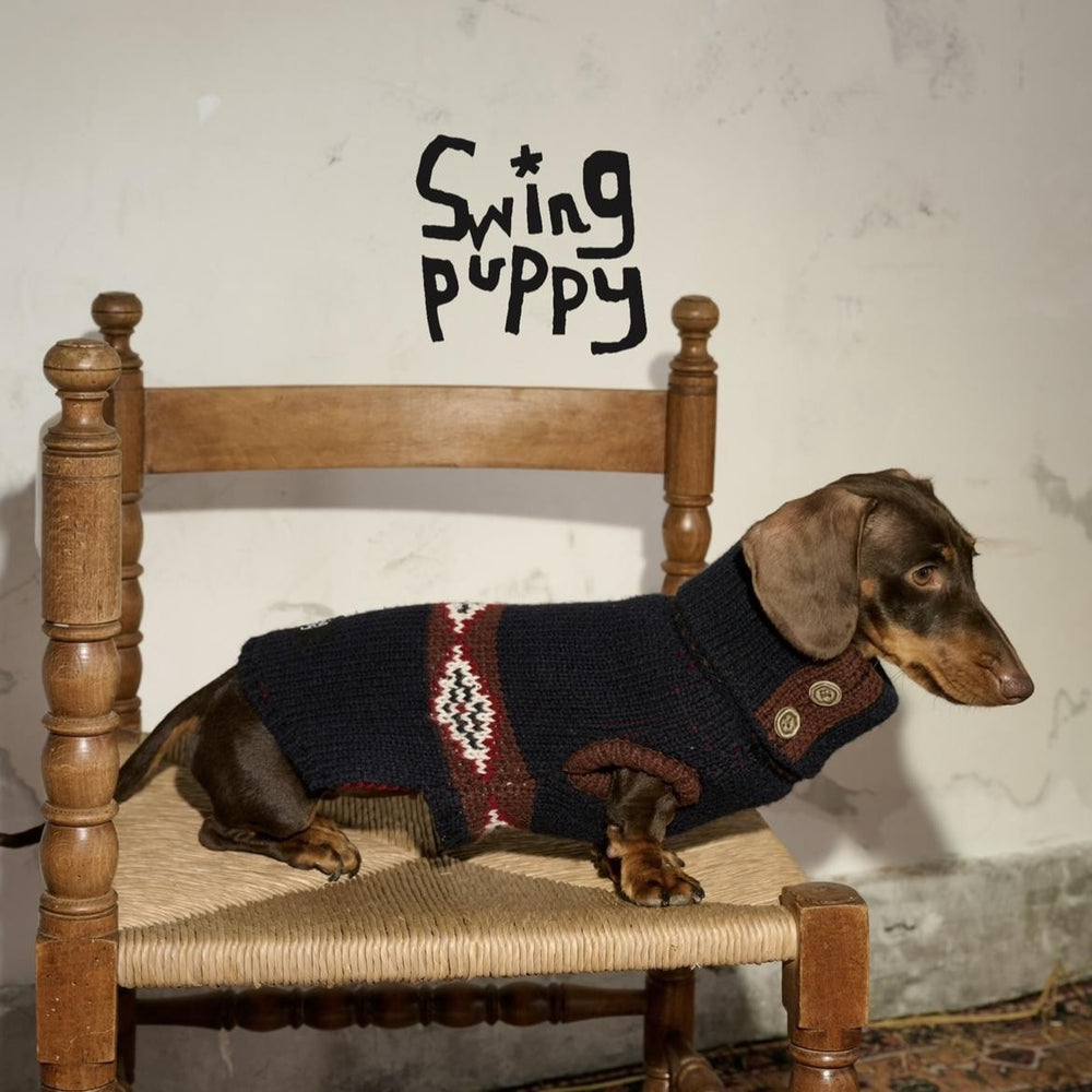 Dachshund wearing a navy patterned turtleneck on a wooden chair.