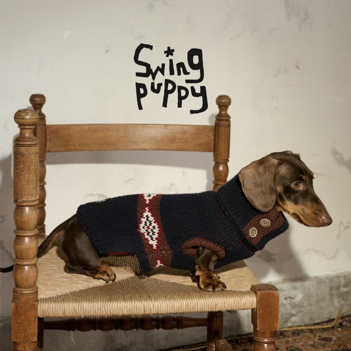 Dachshund wearing a navy patterned turtleneck on a wooden chair.