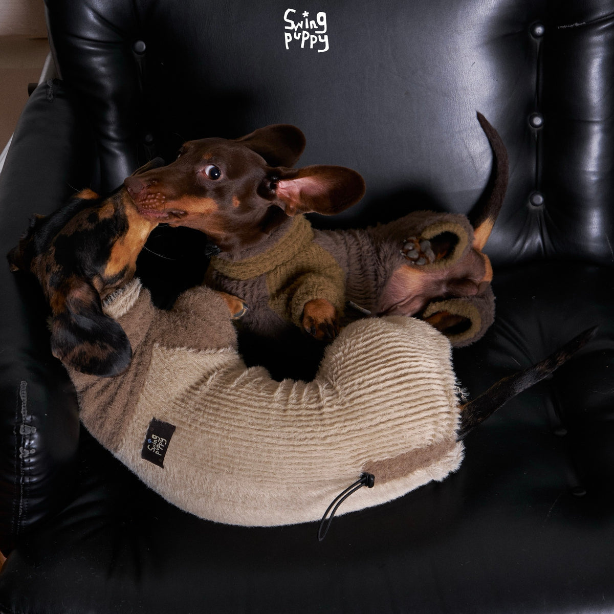 Dogs wearing textured knit bodysuits on a black chair.