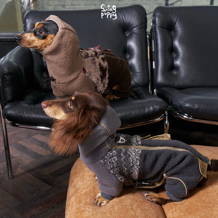 Dachshunds wearing brown and charcoal fleece bodysuits.