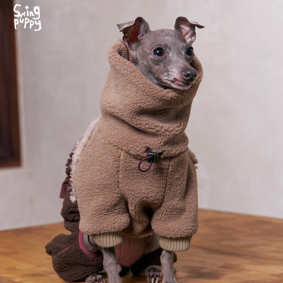 Dog wearing a brown fleece bodysuit with a large hood.