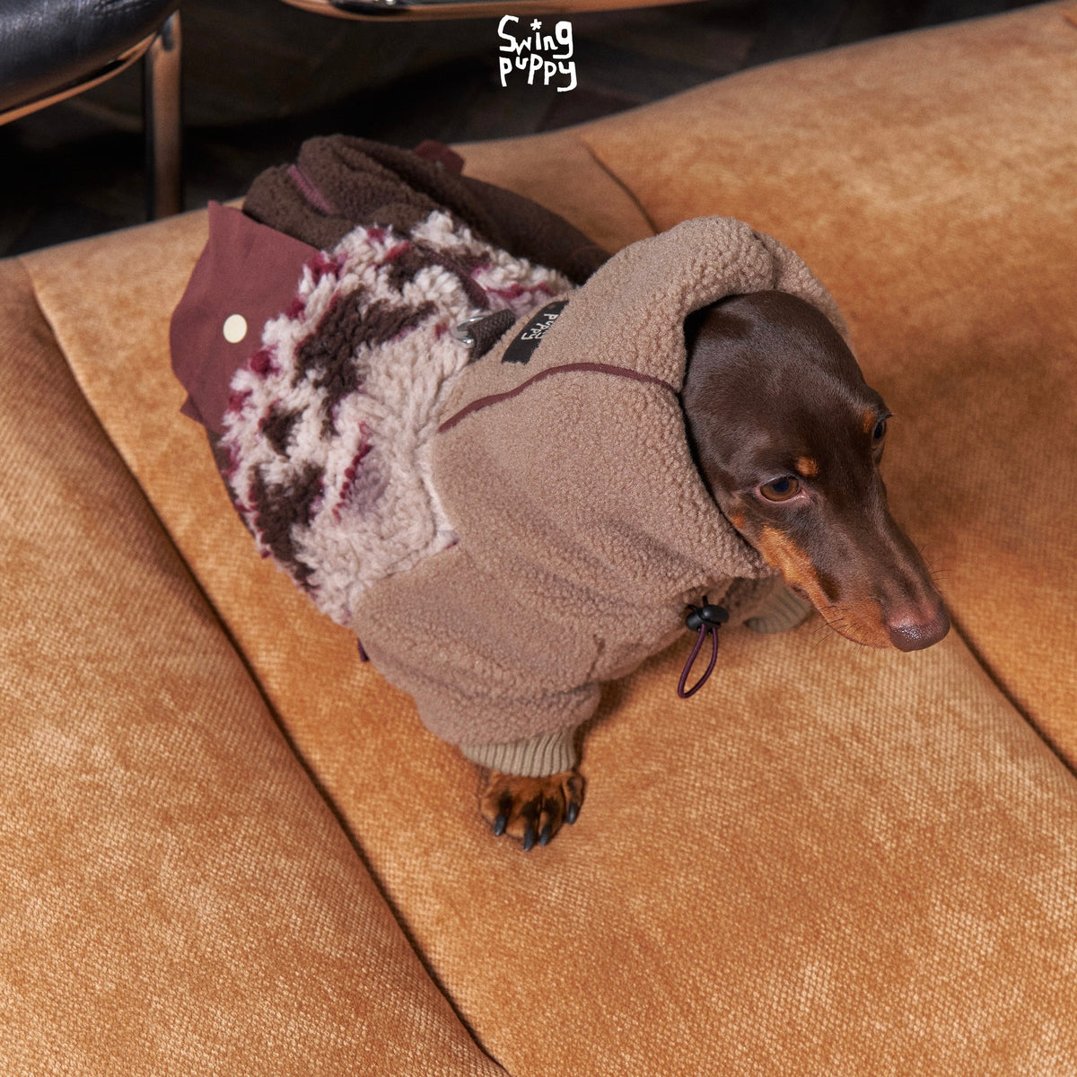 Dachshund wearing a brown hooded fleece suit with a patterned back.