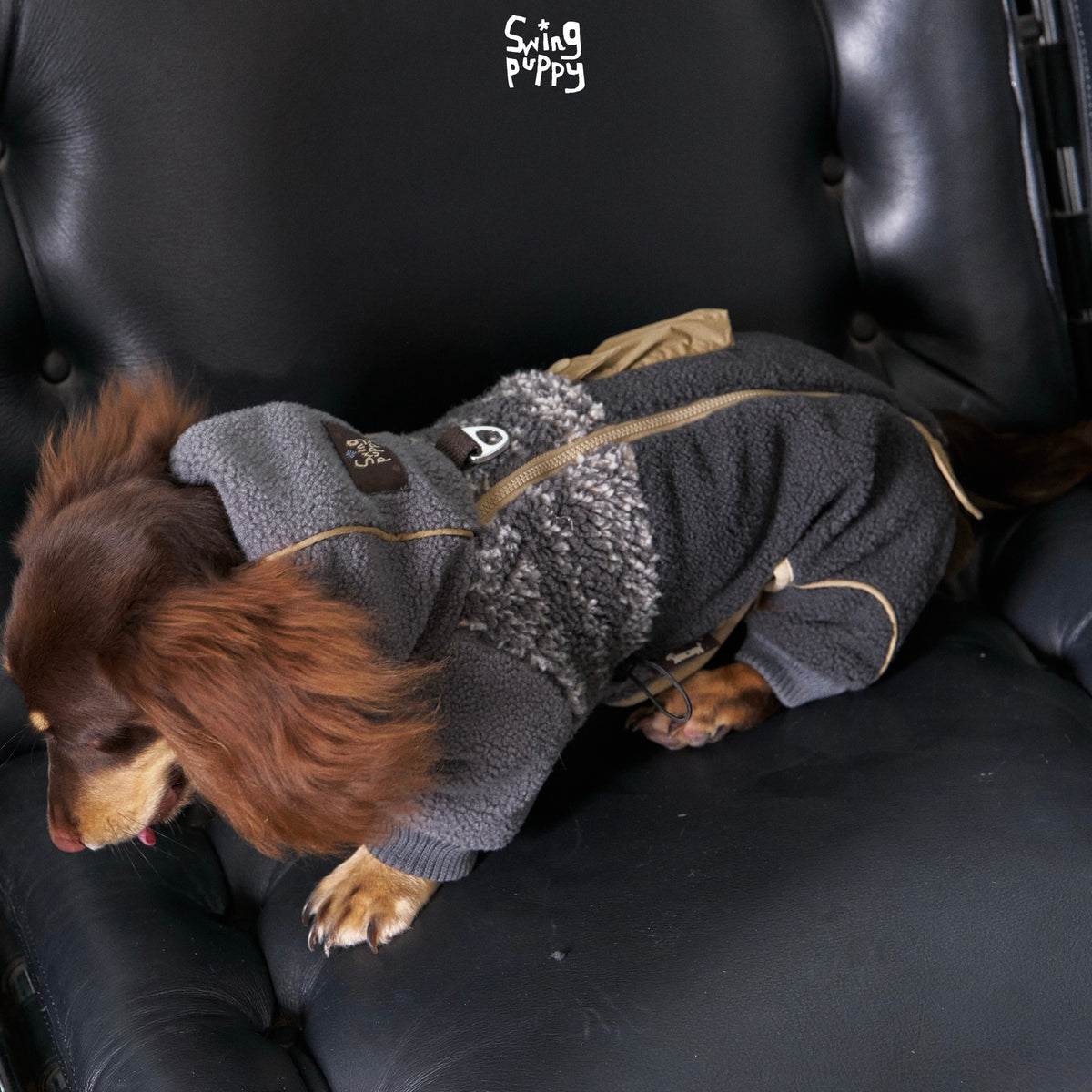 Overhead view of a charcoal fleece bodysuit on a long-haired dachshund.