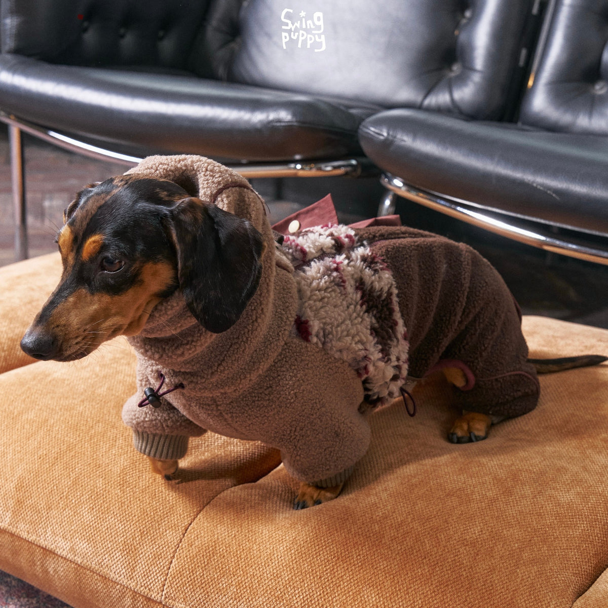 Dachshund wearing a brown fleece bodysuit with a patterned back panel.