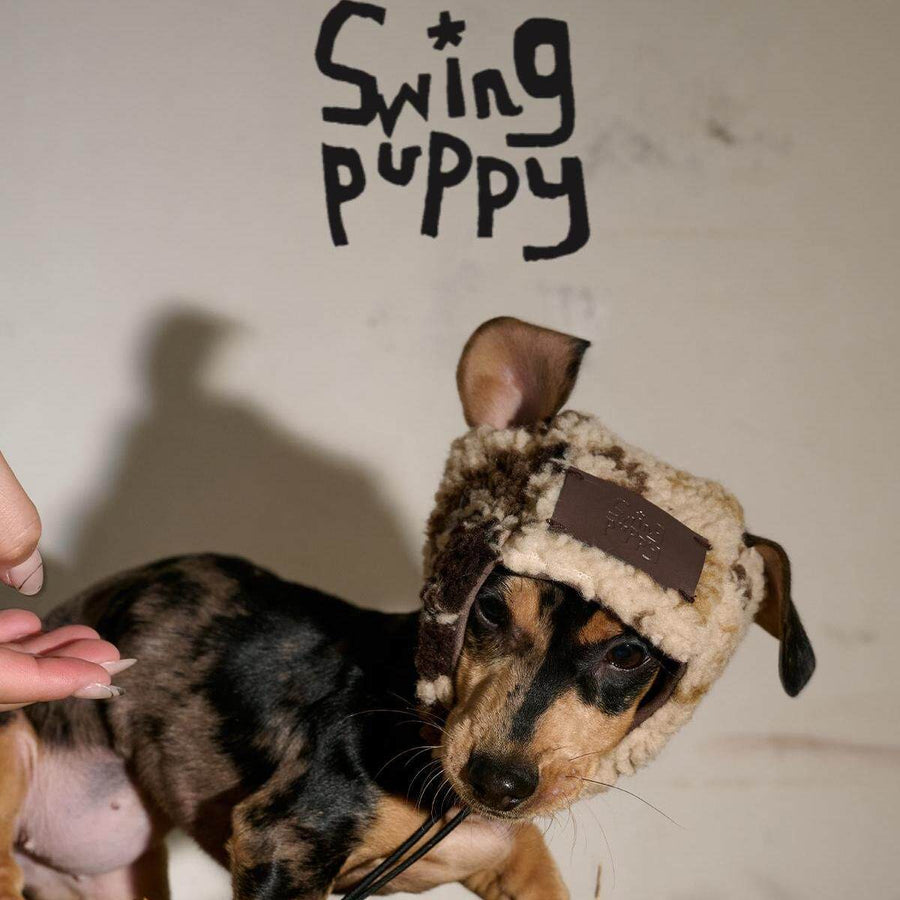 Dog wearing a brown and cream fleece hat with ear openings.