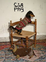 Dogs wearing brown and red patterned reversible vests beside a chair.