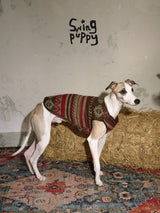 Dog wearing a red striped and patterned vest beside a hay bale.
