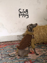 Seated dog wearing the brown textured side of a reversible vest.