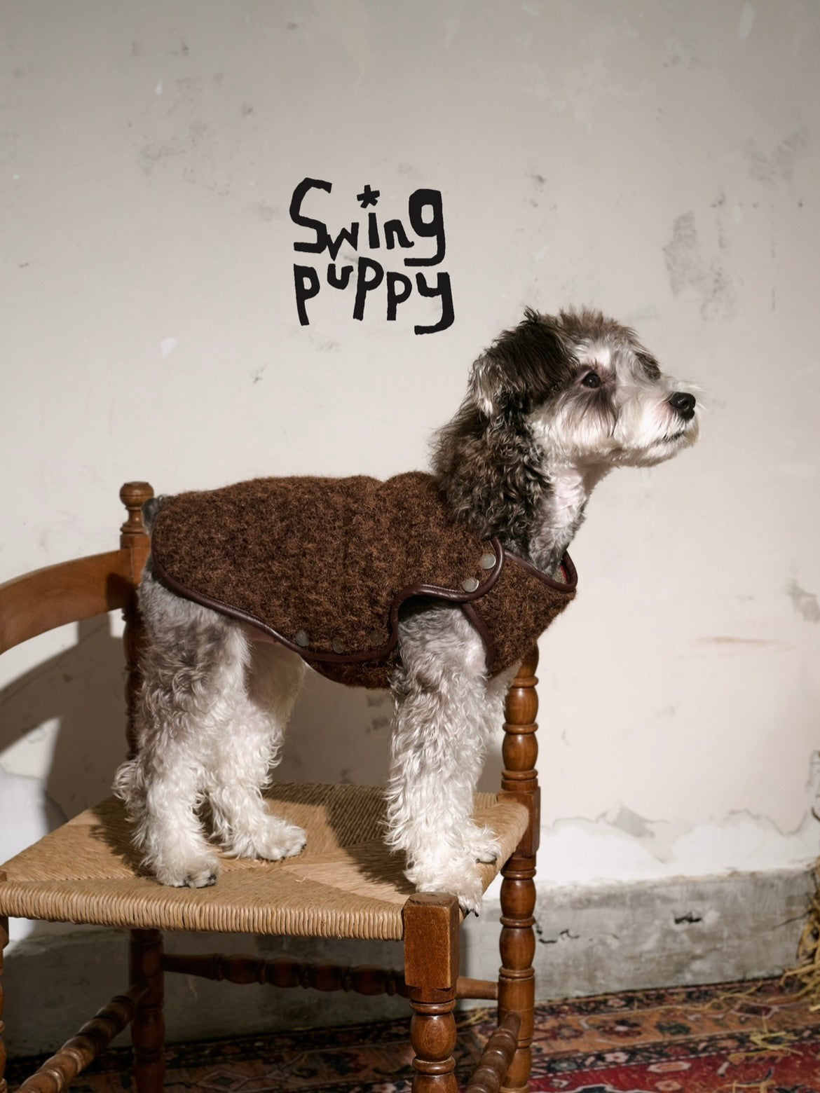 Schnauzer wearing a brown textured sleeveless vest on a wooden chair.