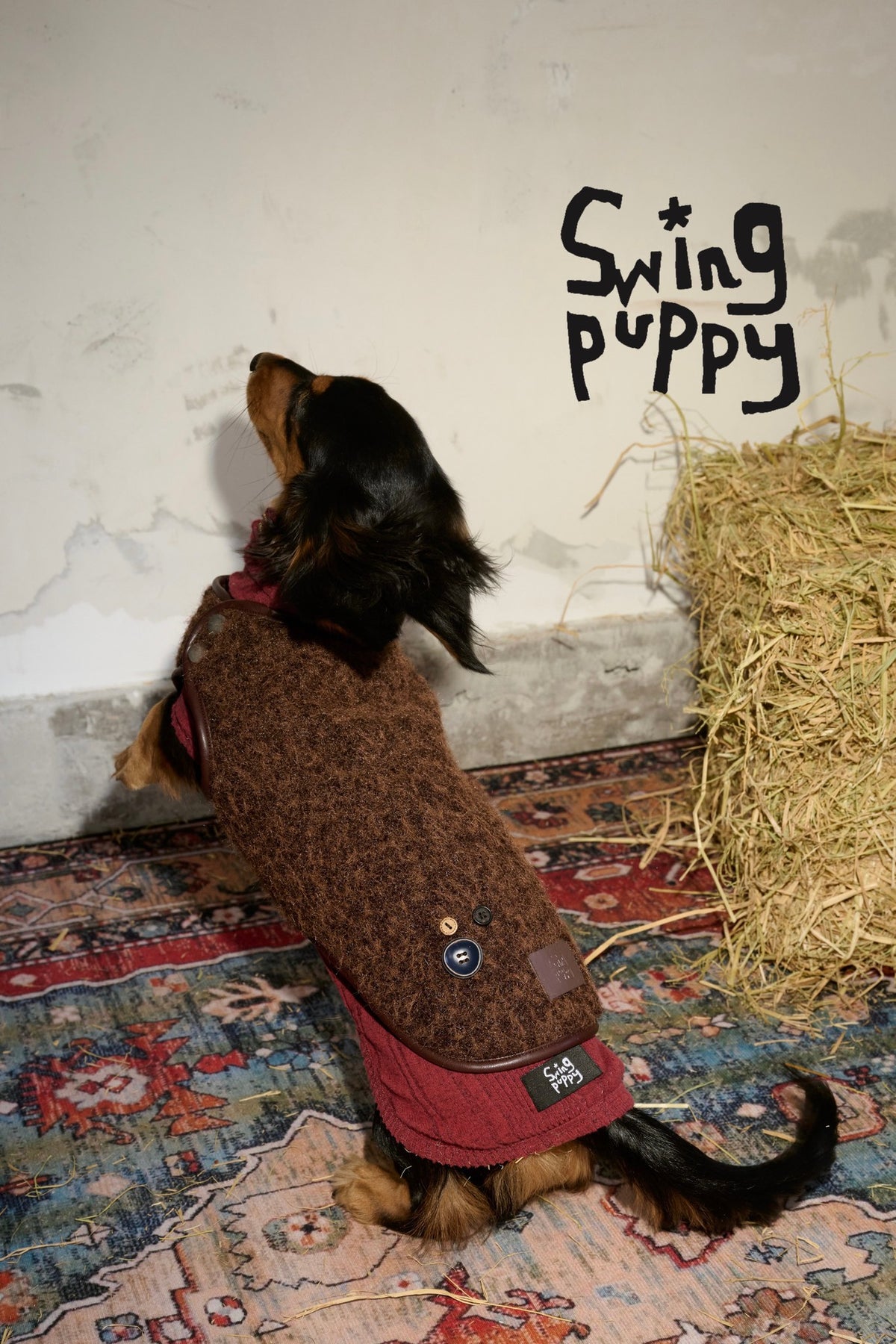 Rear view of a reversible dog vest with a brown back and red trim.