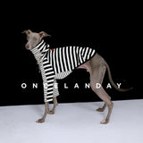 Dog wearing a black and white striped turtleneck base layer.