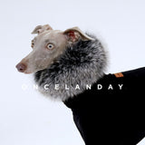 Close-up of a black dog top with a fluffy gray neck accessory.