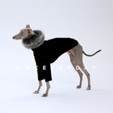 Dog wearing a black base layer with a gray fluffy neck accessory.