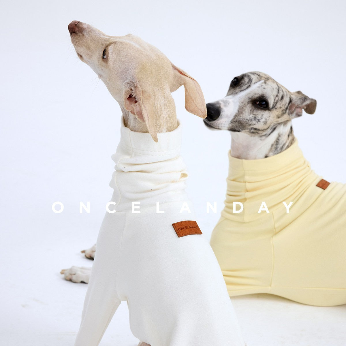 Close-up of cream and yellow dog turtleneck base layers.