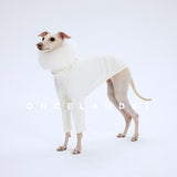Dog modeling a cream turtleneck base layer.