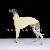 Rear view of a yellow dog turtleneck base layer.