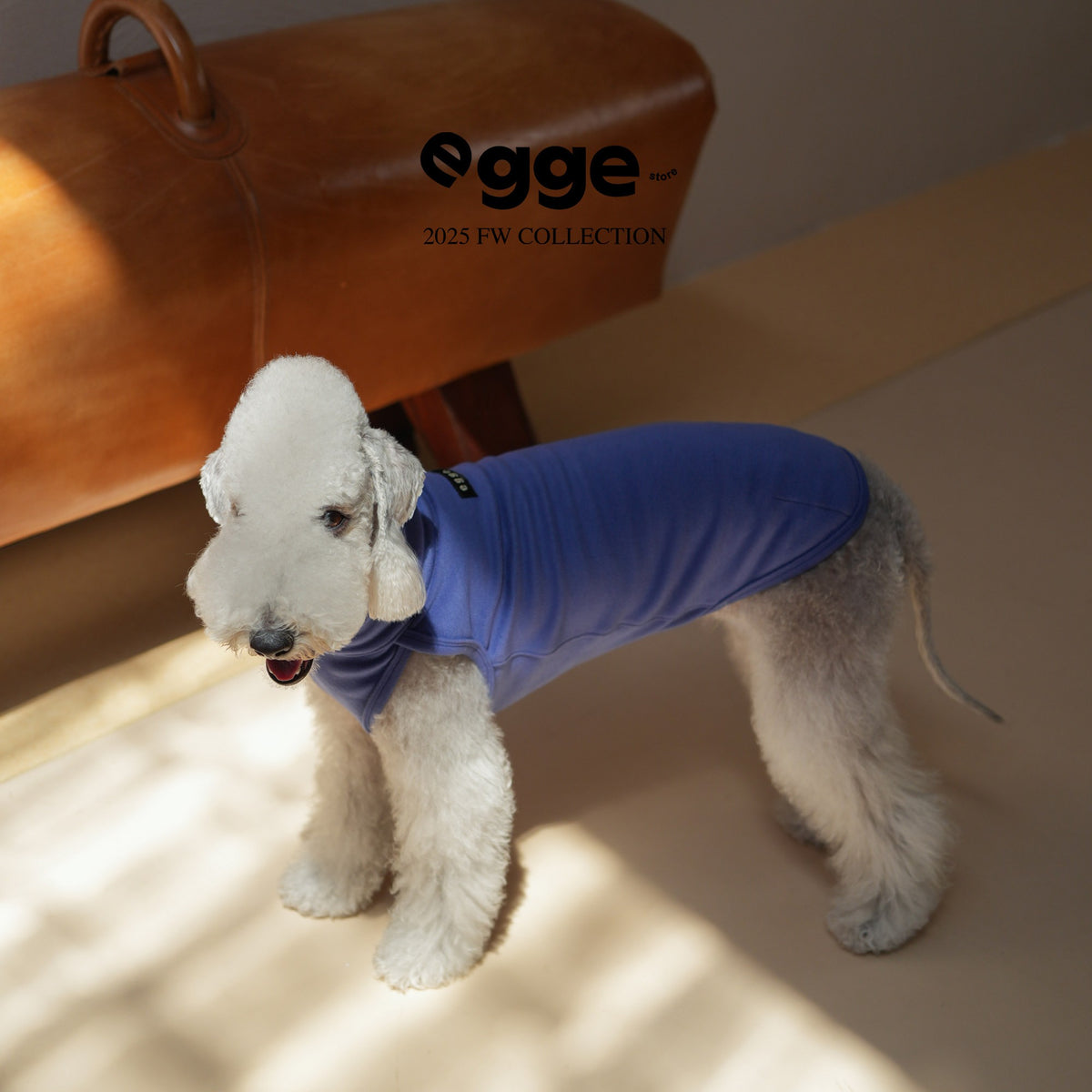 Side view of a dog wearing a royal blue tank top.