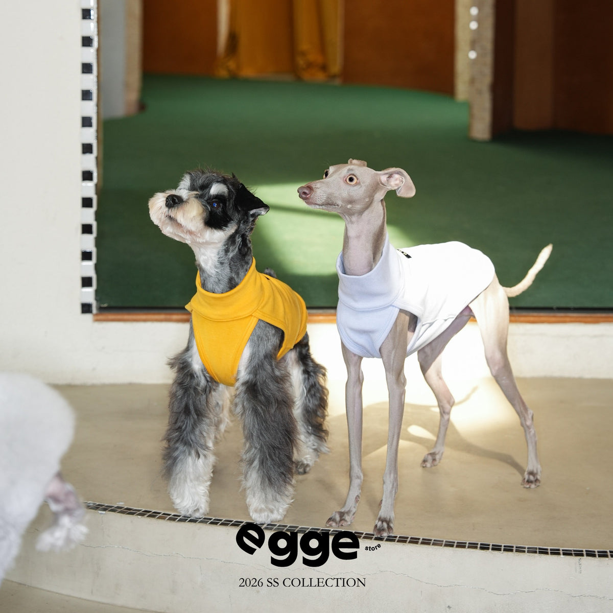 Warm Belly Guard | Sleeveless Dog Tank