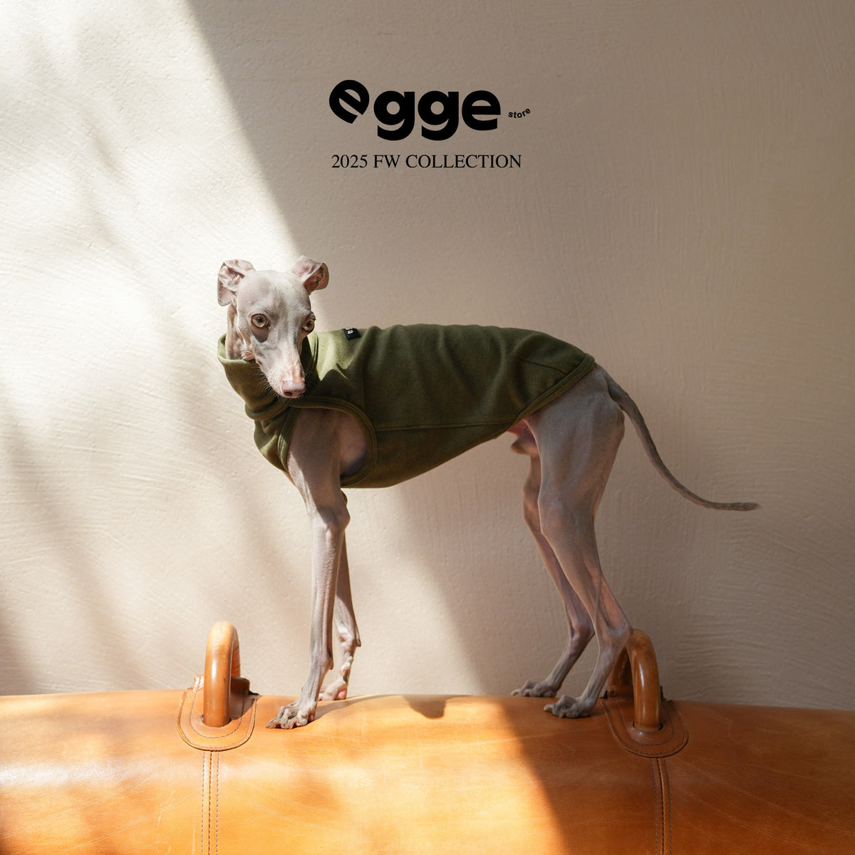 Dog wearing an olive sleeveless belly-cover tank top.