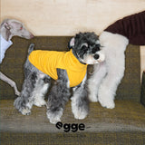 Dog wearing a yellow high-neck tank top on a sofa.