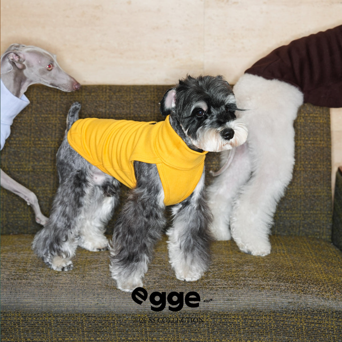 Dog wearing a yellow high-neck tank top on a sofa.
