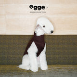 Seated dog wearing a burgundy high-neck tank top.