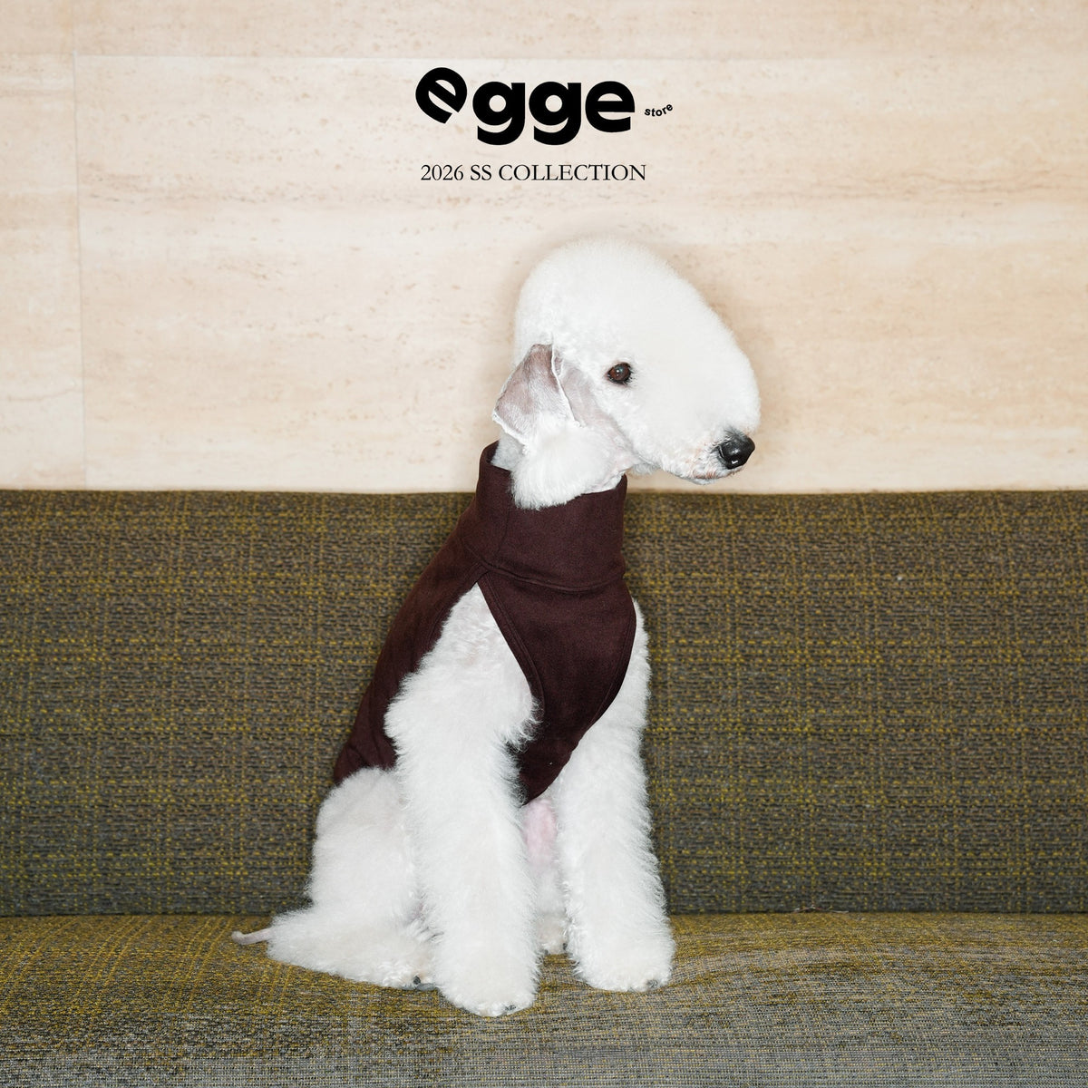 Seated dog wearing a burgundy high-neck tank top.