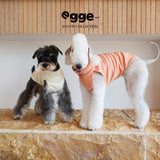 Dogs modeling cream and orange sleeveless tank tops.