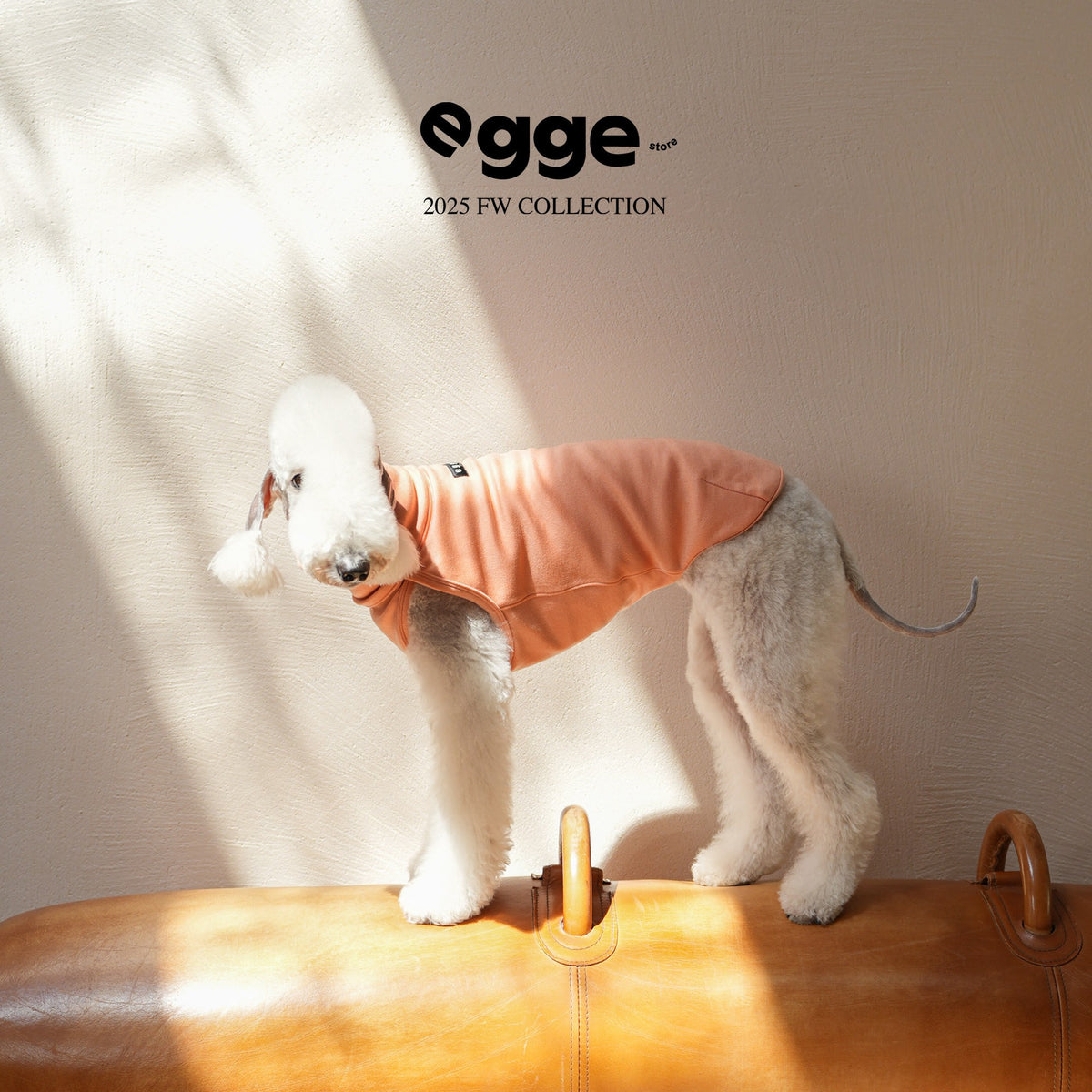 Dog wearing an orange high-neck tank top in sunlight.