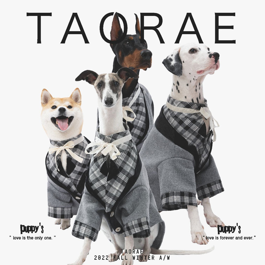 Dogs modeling gray suit jackets with contrasting plaid collars.
