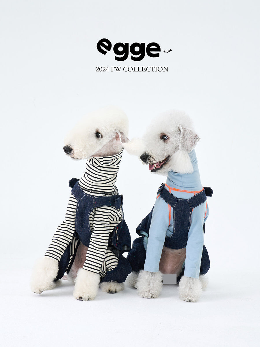Two white dogs wearing denim overalls over striped tops.