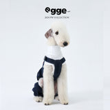 Seated dog wearing dark denim overalls over a white shirt.