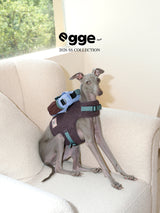 Two dogs wearing harness vests with blue backpacks on a sofa.