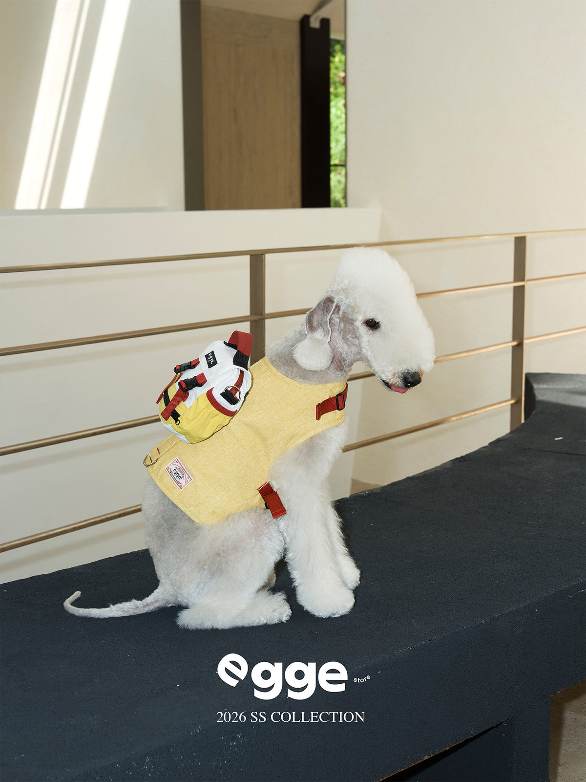 White dog wearing a yellow harness vest and backpack indoors.