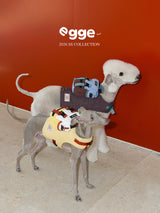 Two dogs modeling colorblock harness vests with backpacks.