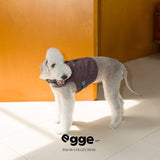 Dog modeling a dark harness vest in sunlight.