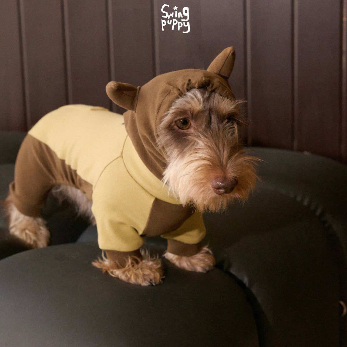 Dog wearing a yellow and brown bodysuit with a horned hood.