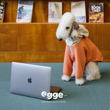 Dog wearing an orange zip-up hoodie with a contrasting hood.