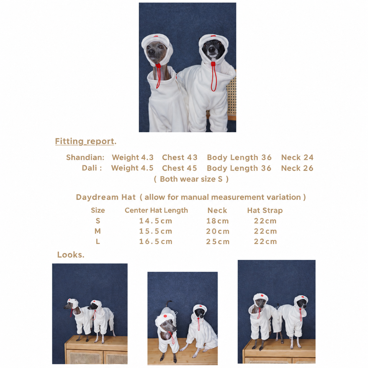 FinFin size chart and measurement reference for dog suede style aviator hat.