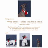 FinFin size chart and measurement reference for dog striped holiday scarf.