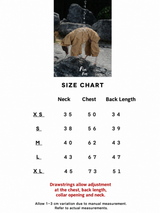 FinFin size chart and measurement reference for dog mountain reversible outdoor bodysuit.