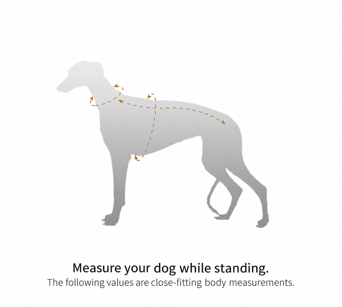 Oncleanday dog measurement guide showing neck, chest and back length.
