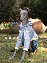Dog wearing a lavender sweater with cream edging outdoors.