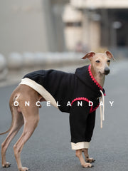 Shell Story | Cozy Color-Block Dog Sweatshirt