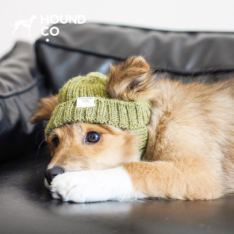Handcrafted Peruvian Wool Pet Knit Hat dog product view 03