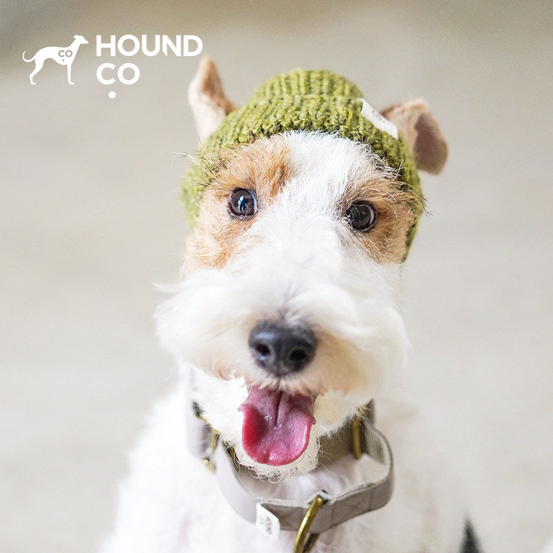 Handcrafted Peruvian Wool Pet Knit Hat dog product view 05