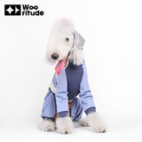 High-Stretch UV Protection Dog Suit, Blue color